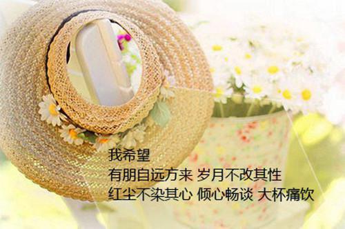 2023城管局农村清洁工作报告