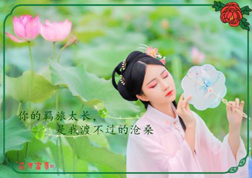 表示读书的名人名言