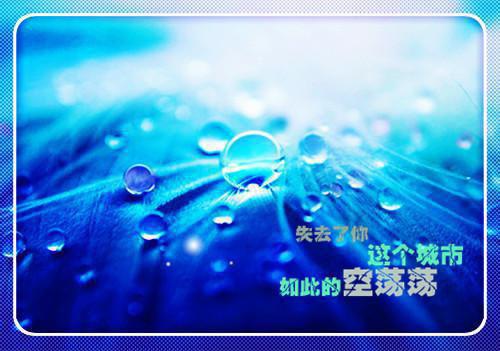 元旦慰问信