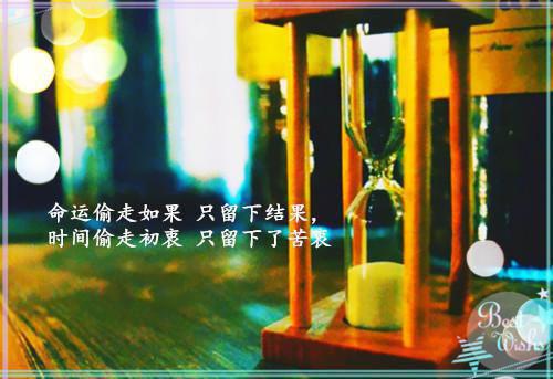 实用的个人委托书合集7篇