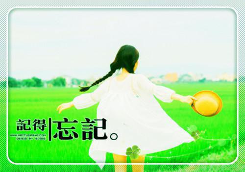 关于中学规范办学行为的自查报告