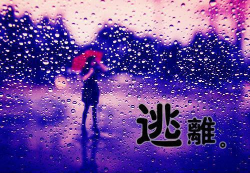 素质教育工作报告范文