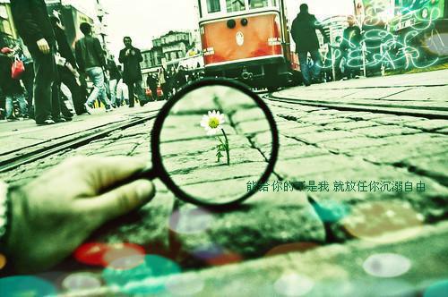 在学校的社会实践报告2023
