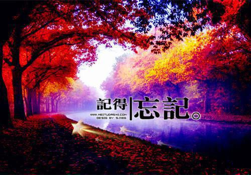 毕业生实习工作报告的自我鉴定