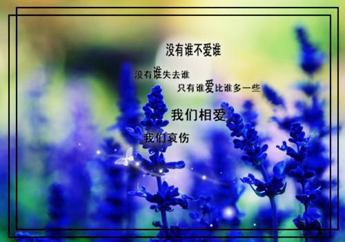 有关中文编辑的求职信