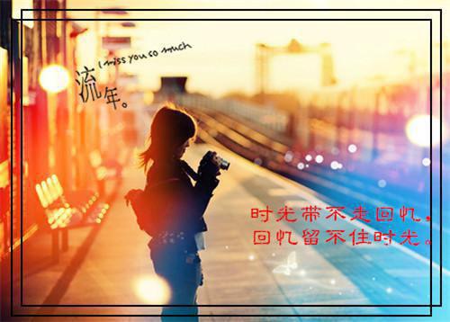 大学生求职介绍信