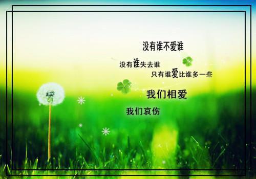 赵今愿顾子奕小说（顾子奕赵今愿）前传+全书阅读新作预览