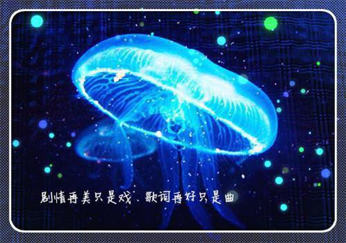 护理医院实践报告