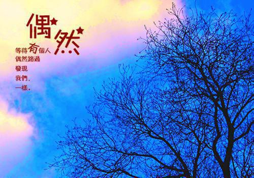 幼儿园老师个人师德师风自查报告