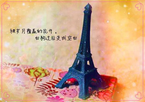 关于英文专业求职信范文集合五篇
