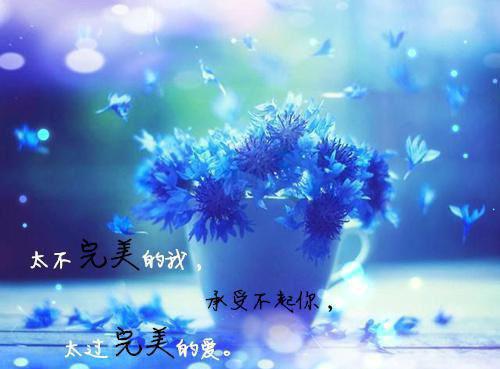 应聘幼师自我介绍信范文