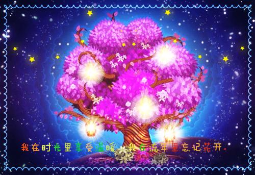 会计工作自查的报告