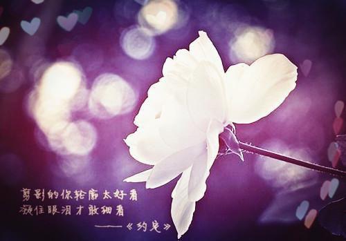 个人求职信范文2000字