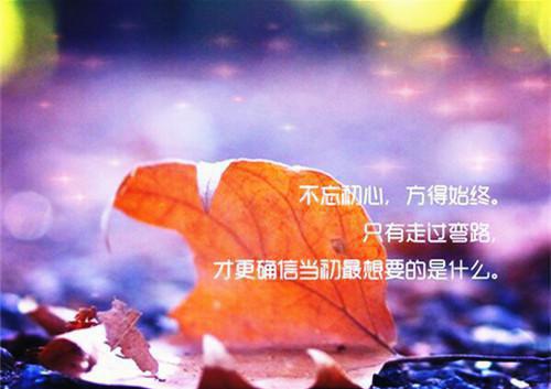 教师求职信4篇