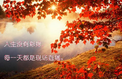 师范生个人自荐信