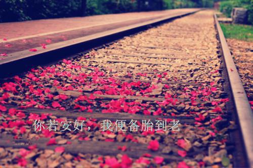 关于应届毕业生会计专业自荐信集合6篇