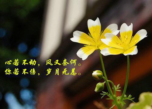 数控自荐信范文大全