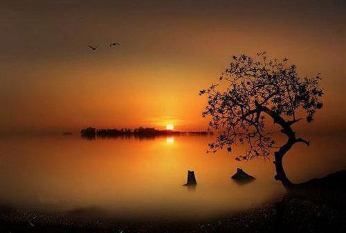 教师节诗歌——《向您敬礼》