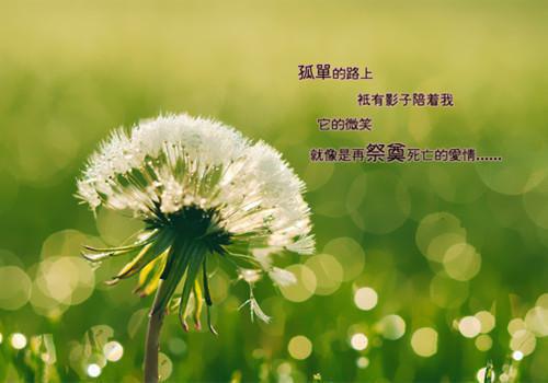 读书的名人名言故事