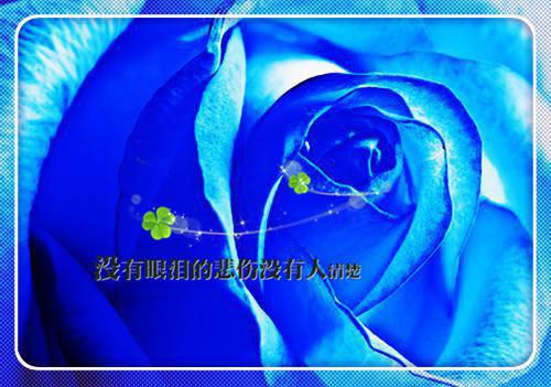 暖心短句情书