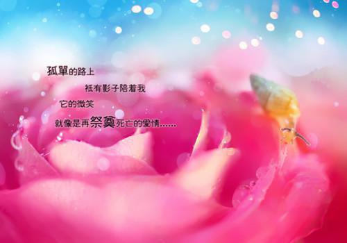 励志音乐《仰望星空》