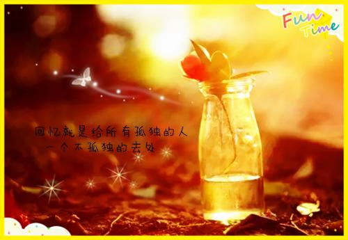 公司会计实践报告范文