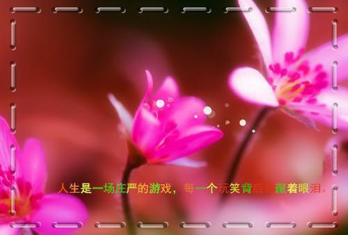 儿童睡前暖心小故事文字版
