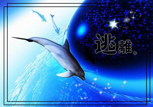 学会珍惜爱情的名言