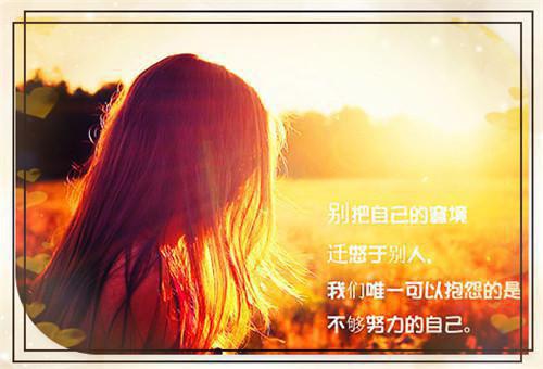 正式的道歉信精选五篇范文