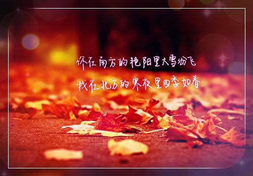 唯美励志的早安心语