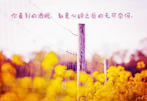 听妈妈讲的童话故事文字版