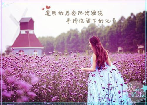 优秀求职信4篇