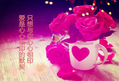 名人励志故事：季羡林抄书的故事