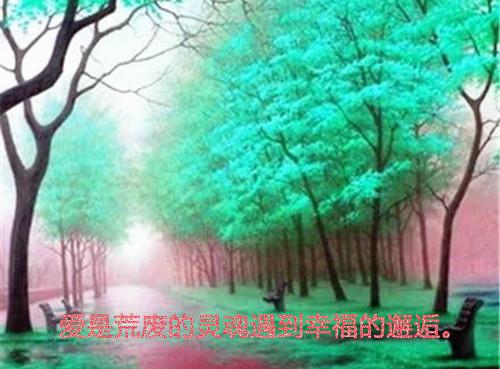 捐书感谢信范文