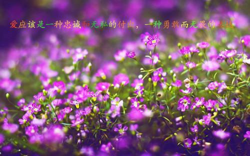幼儿教师新年感谢信