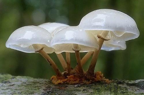 消防安全工作自查报告优秀范文