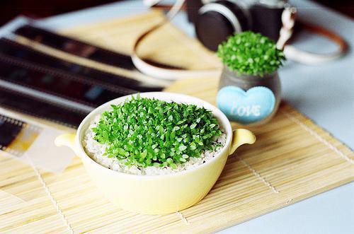 关于清明节的诗句——《清明》
