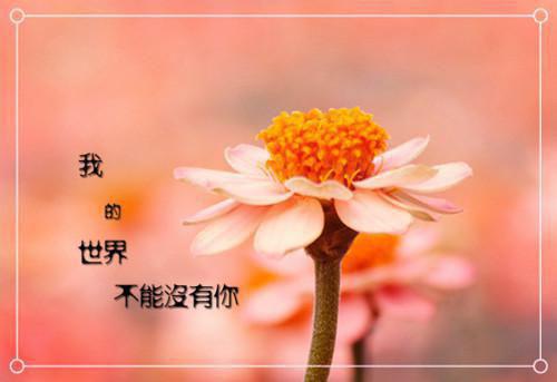 教师节写给老师的感谢信范文【万能经典版】