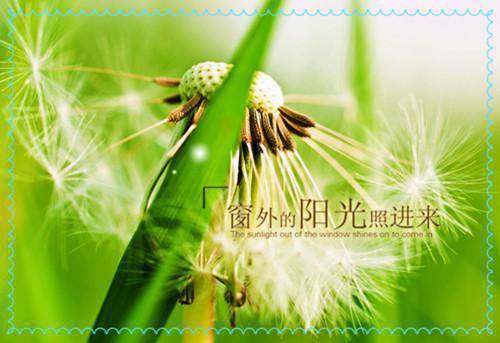 大学寒假社会实践范文