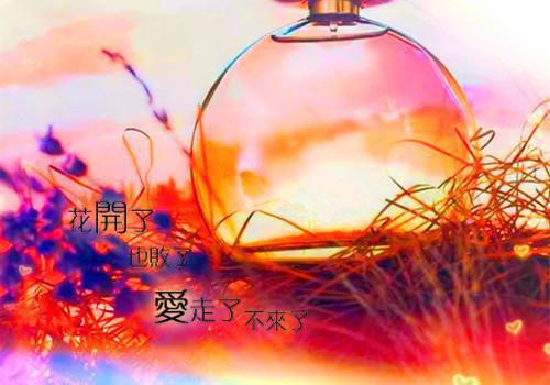 建筑产品推广会邀请函