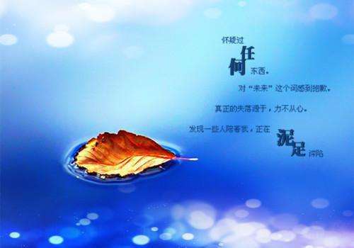 毛概社会实践报告【最新】