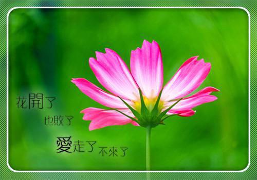 有勇气才成功的故事