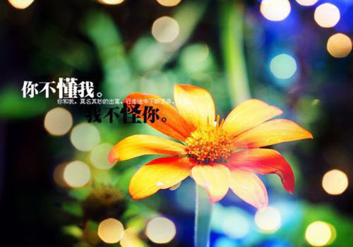 学生不讲诚信检讨书