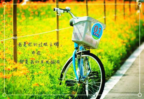 肖申克的救赎纯英文电影名言