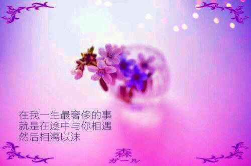 【精华】毕业生自荐信3篇