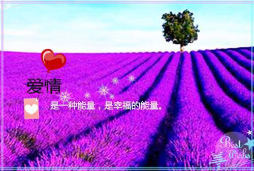 同学毕业后聚会邀请函示例