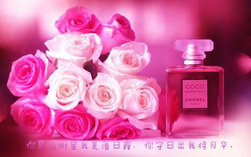 名人励志故事：莱特兄弟发明飞机