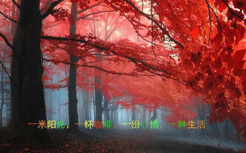给父母的邀请函范文
