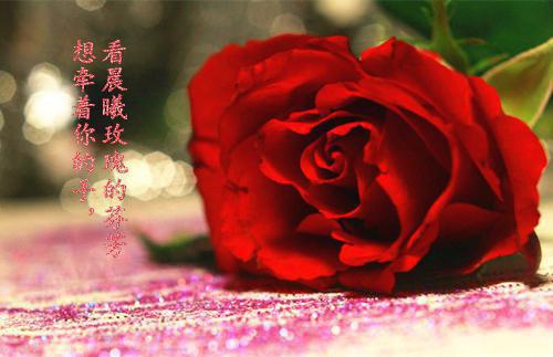人大代表评议工作报告