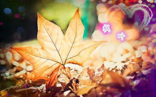 社区无烟日活动总结10篇